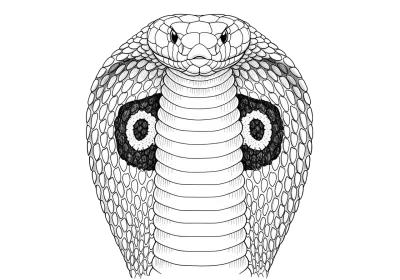 Imagen PNG para descargar